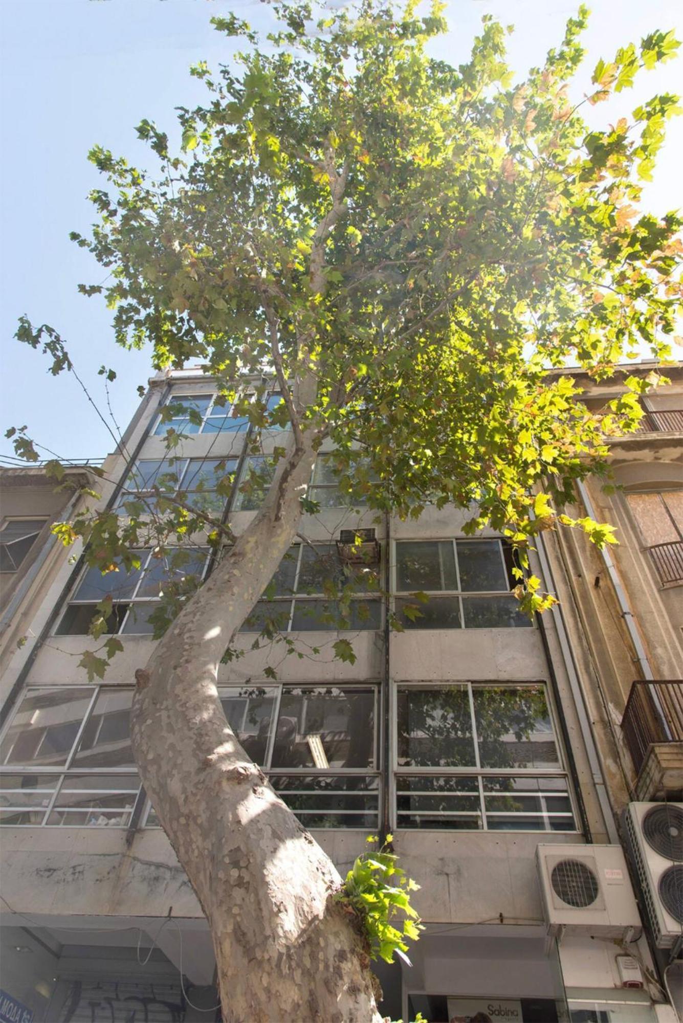 Am16 Suites Atene Esterno foto